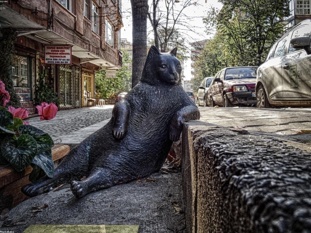 ការផ្តល់ជូនថ្មី: ផលិតផលនិងសេវាកម្មដែលអ្នកមិនអាចរំលងបាន