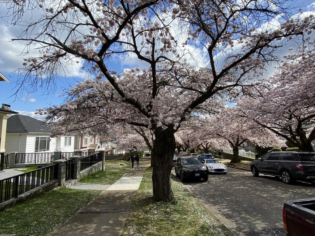 ព័ត៌មានថ្មីៗ និងអត្ថប្រយោជន៍នៃការទាន់ពេលវេលា